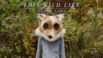 This Wild Life - Loose Ends