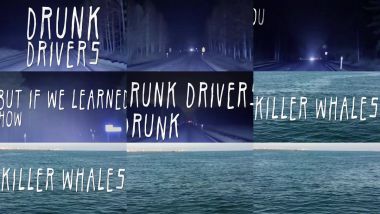 Скачать клип CAR SEAT HEADREST - Drunk Drivers/killer Whales