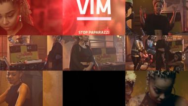 Скачать клип VIM - Stop Paparazzi