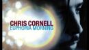 Скачать клип Chris Cornell - Steel Rain