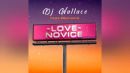 Скачать клип DJ Wallace - Love Novice