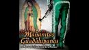 Скачать клип Mariachi Cantares De Mexico - Apariciones Guadalupanas
