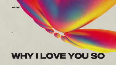 Alok, James Hurr & Supafly - Why I Love You So