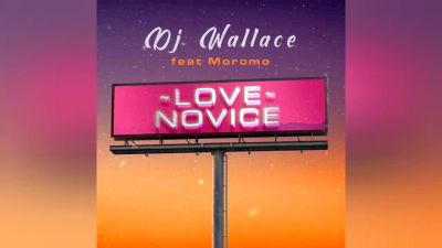 DJ Wallace - Love Novice - feat. Moromo