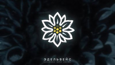 Kavabanga Depo Kolibri - Эдельвейс