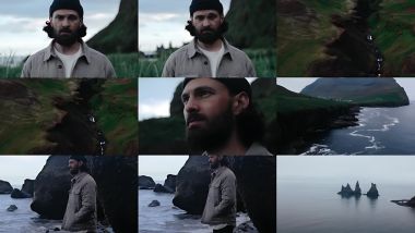 Скачать клип CITY OF PINES - Salt Creek