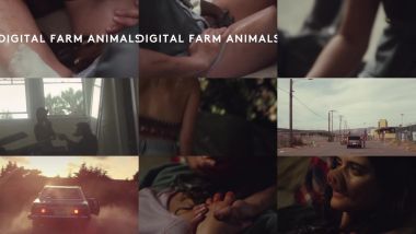 Скачать клип DIGITAL FARM ANIMALS - True