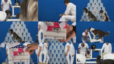 Скачать клип OK GO - White Knuckles