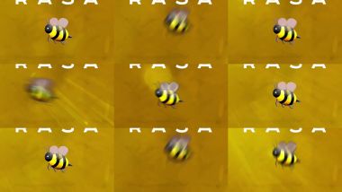 Скачать клип RASA - Пчеловод