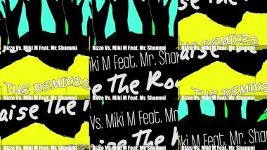 Скачать клип RIZZO VS. MIKI M FEAT. MR. SHAMMI - Raise The Roof