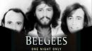 Скачать клип Bee Gees - Search Find