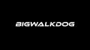 Скачать клип Bigwalkdog - Son Of A Gun
