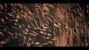 Скачать клип Eluveitie - A Rose For Epona