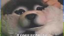 Скачать клип Хаски, Зангези - Два Инцела
