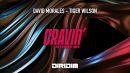 Скачать клип Tiger Wilson и Дэвид Моралес - Cravin'